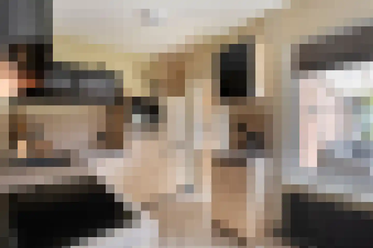 Zonnedauw 15 Nieuwlande thumbnail 14