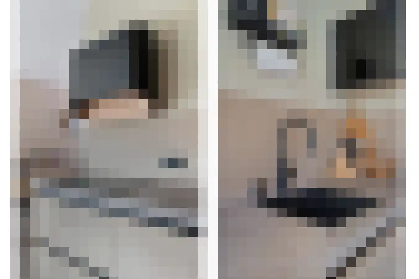Zonnedauw 15 Nieuwlande thumbnail 15