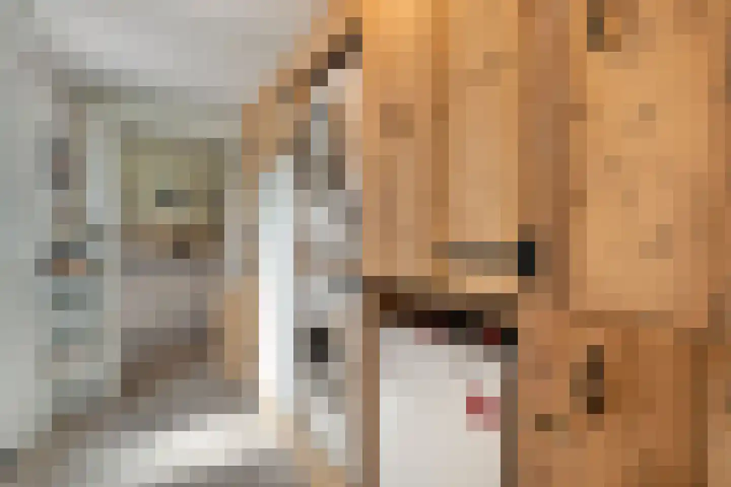 Zonnedauw 15 Nieuwlande thumbnail 16