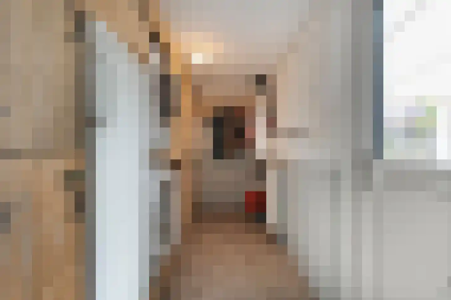 Zonnedauw 15 Nieuwlande thumbnail 17