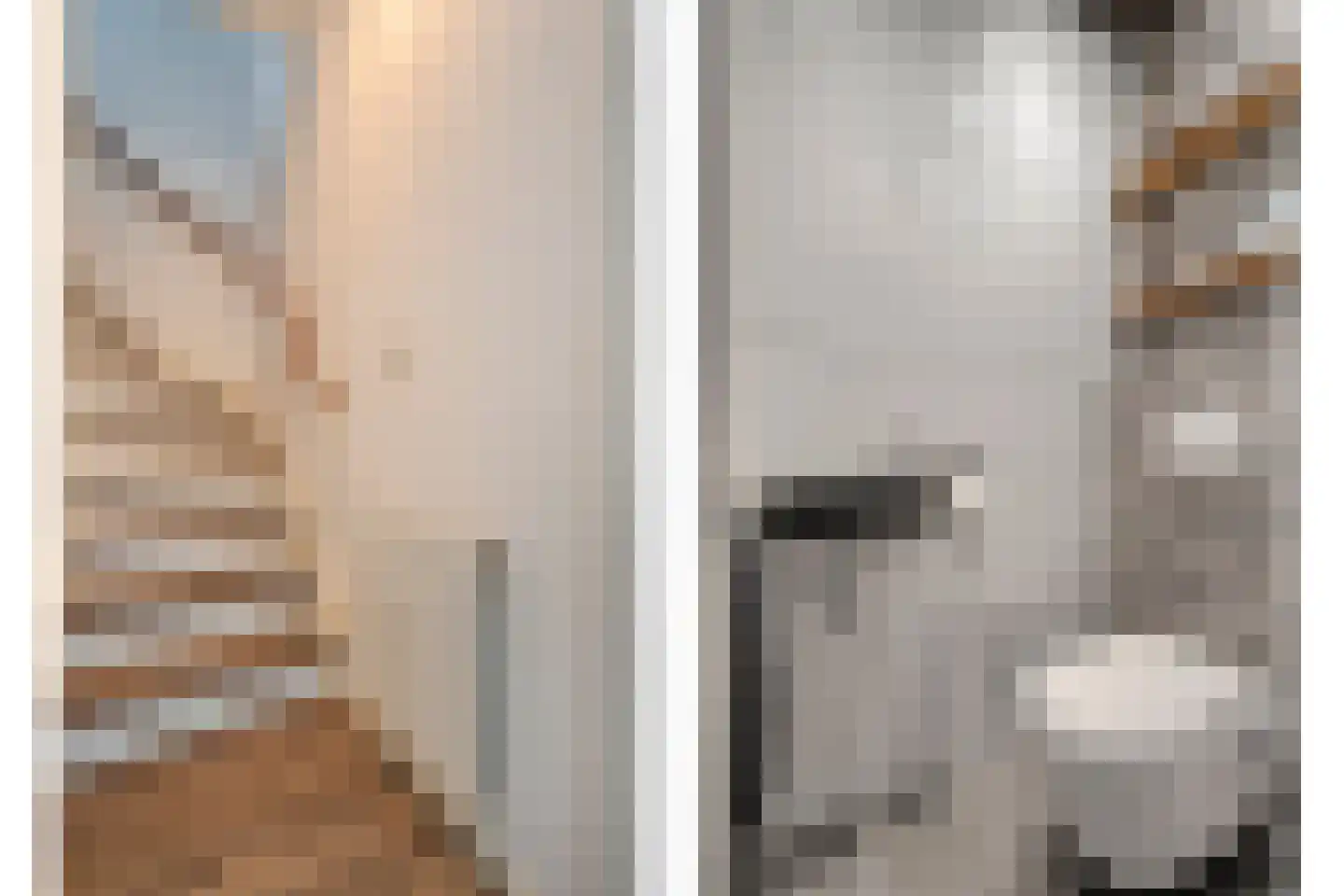 Zonnedauw 15 Nieuwlande thumbnail 18