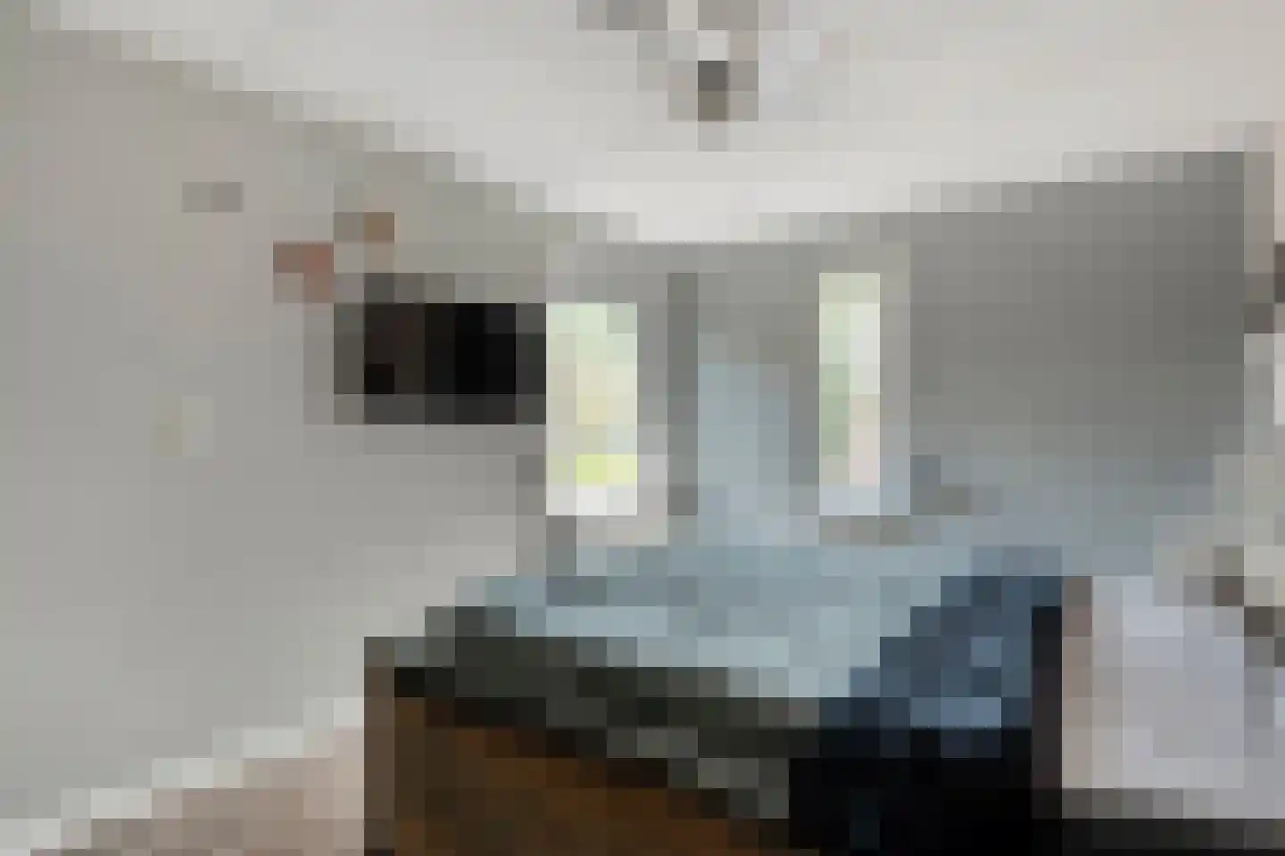 Zonnedauw 15 Nieuwlande thumbnail 20