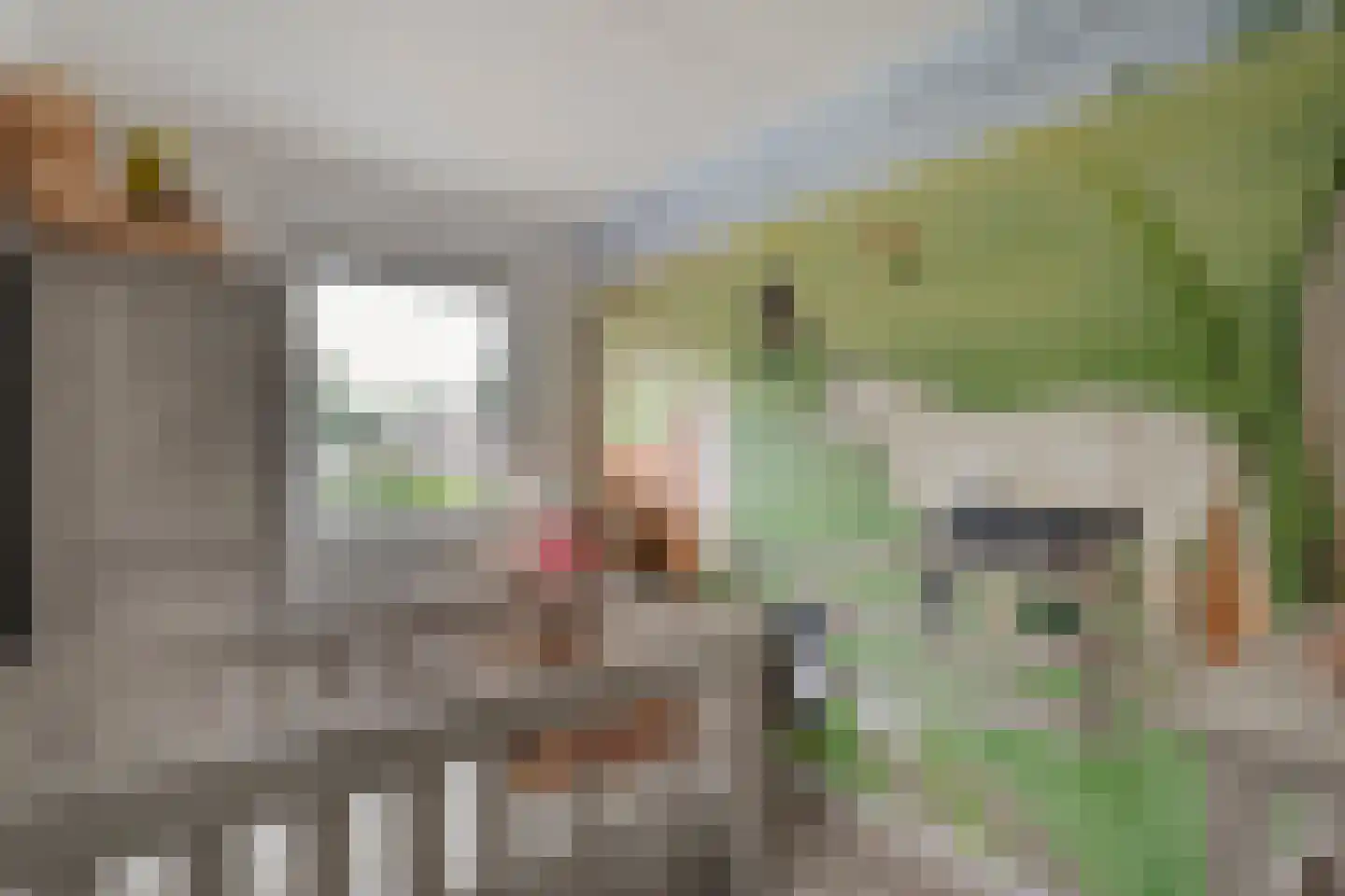 Zonnedauw 15 Nieuwlande thumbnail 24