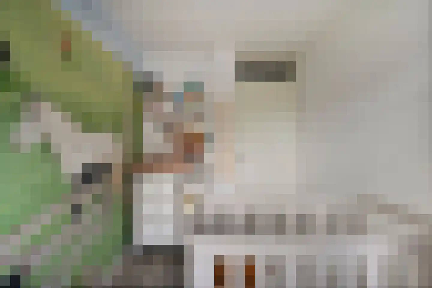 Zonnedauw 15 Nieuwlande thumbnail 25