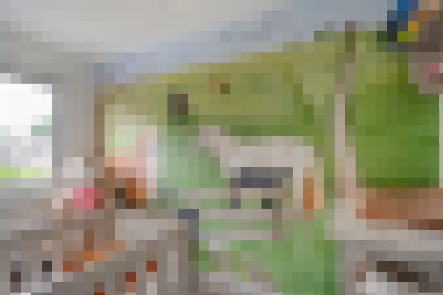 Zonnedauw 15 Nieuwlande thumbnail 26