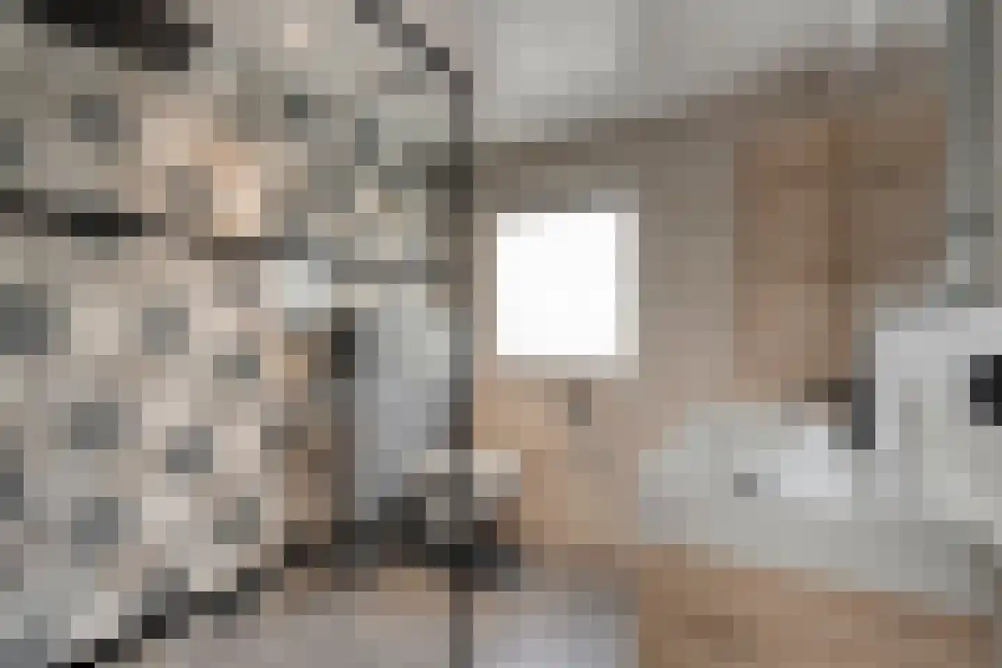 Zonnedauw 15 Nieuwlande thumbnail 27