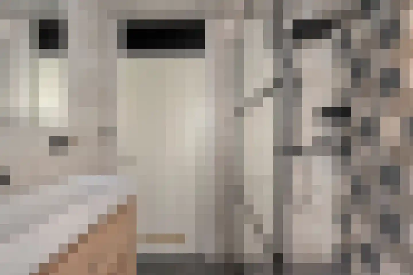 Zonnedauw 15 Nieuwlande thumbnail 28