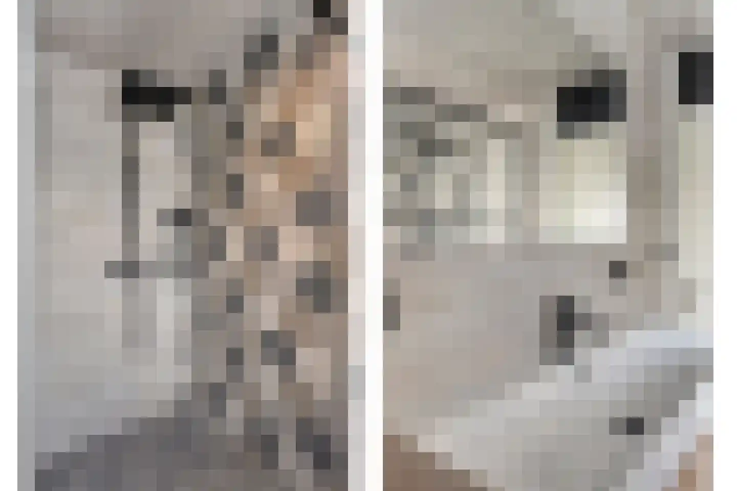 Zonnedauw 15 Nieuwlande thumbnail 29