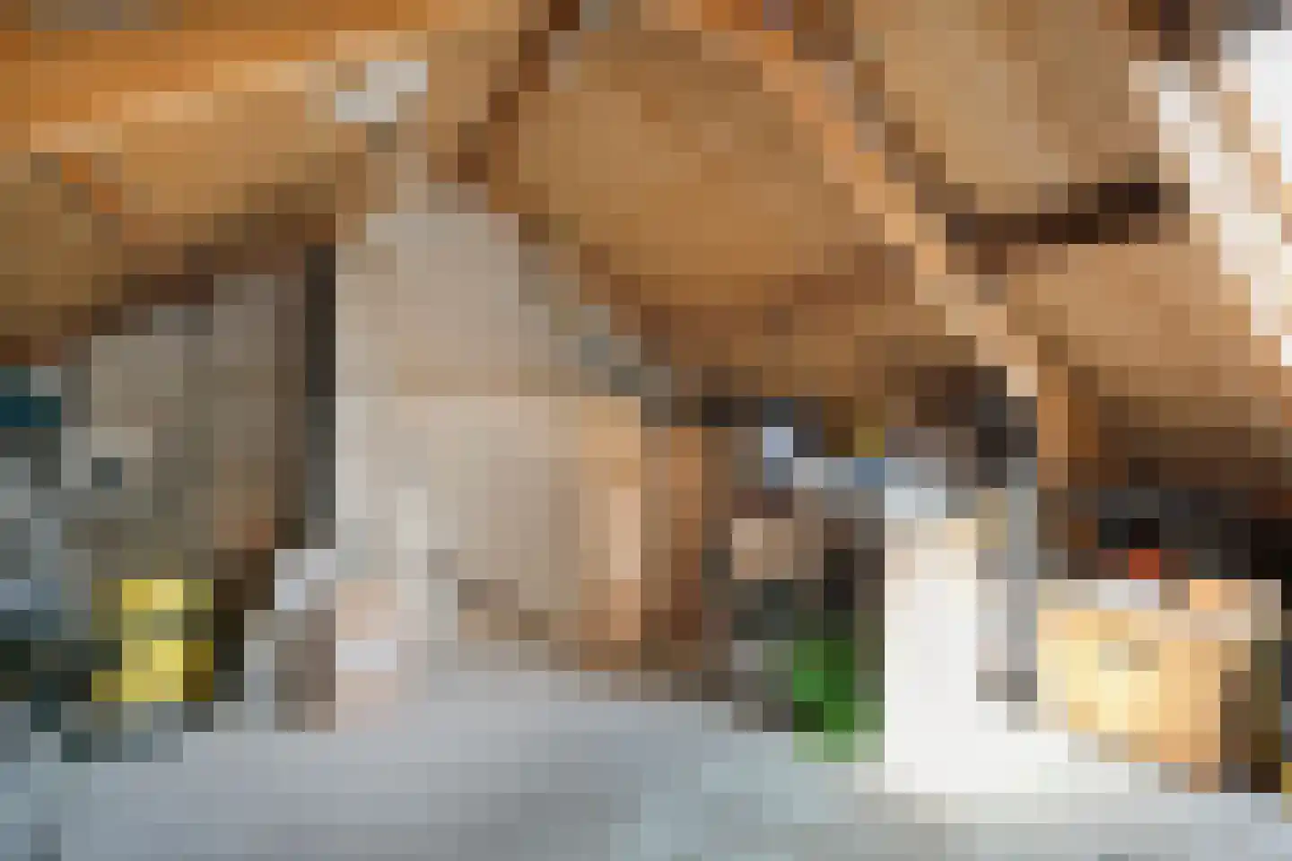 Zonnedauw 15 Nieuwlande thumbnail 31