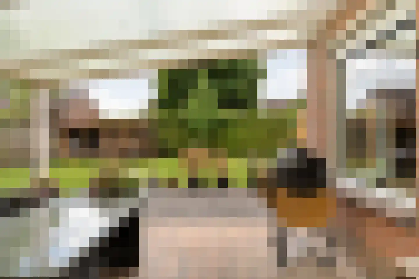 Zonnedauw 15 Nieuwlande thumbnail 34
