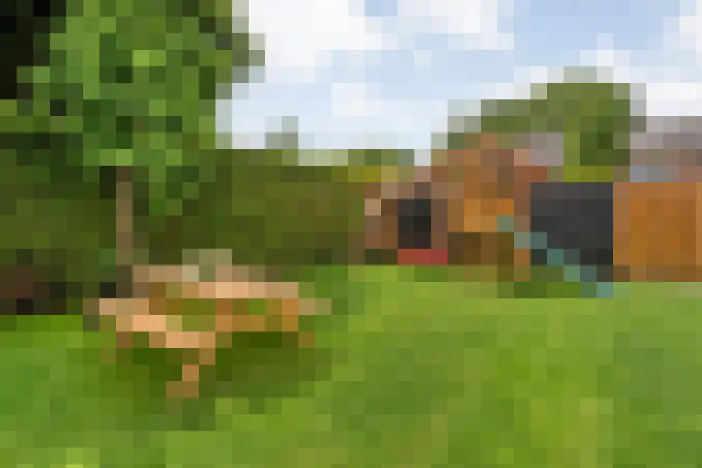 Zonnedauw 15 Nieuwlande thumbnail 36
