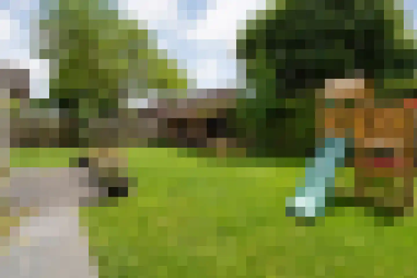 Zonnedauw 15 Nieuwlande thumbnail 37