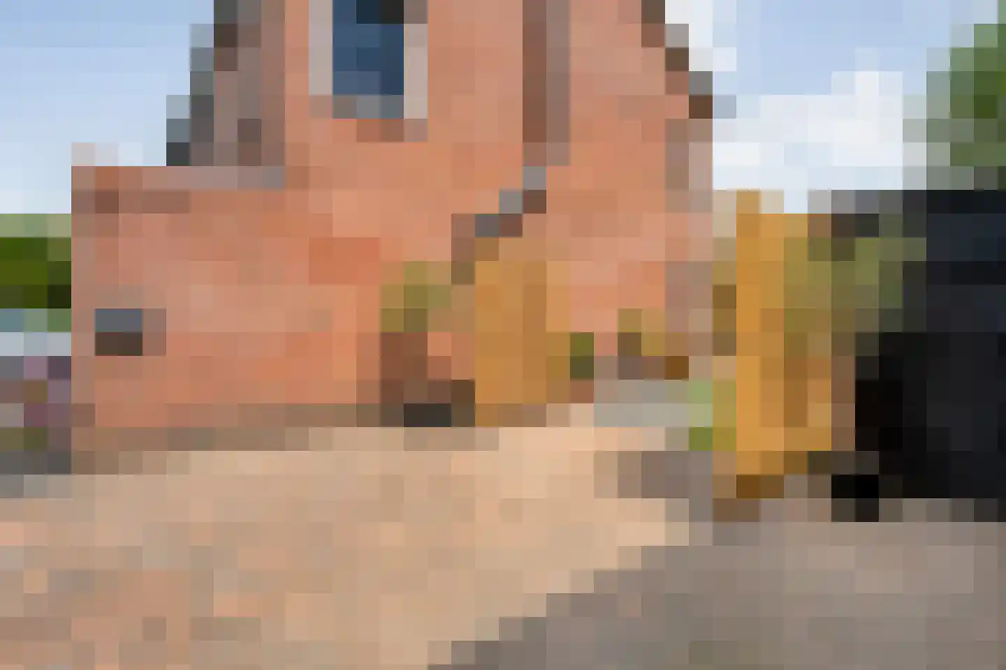 Zonnedauw 15 Nieuwlande thumbnail 38
