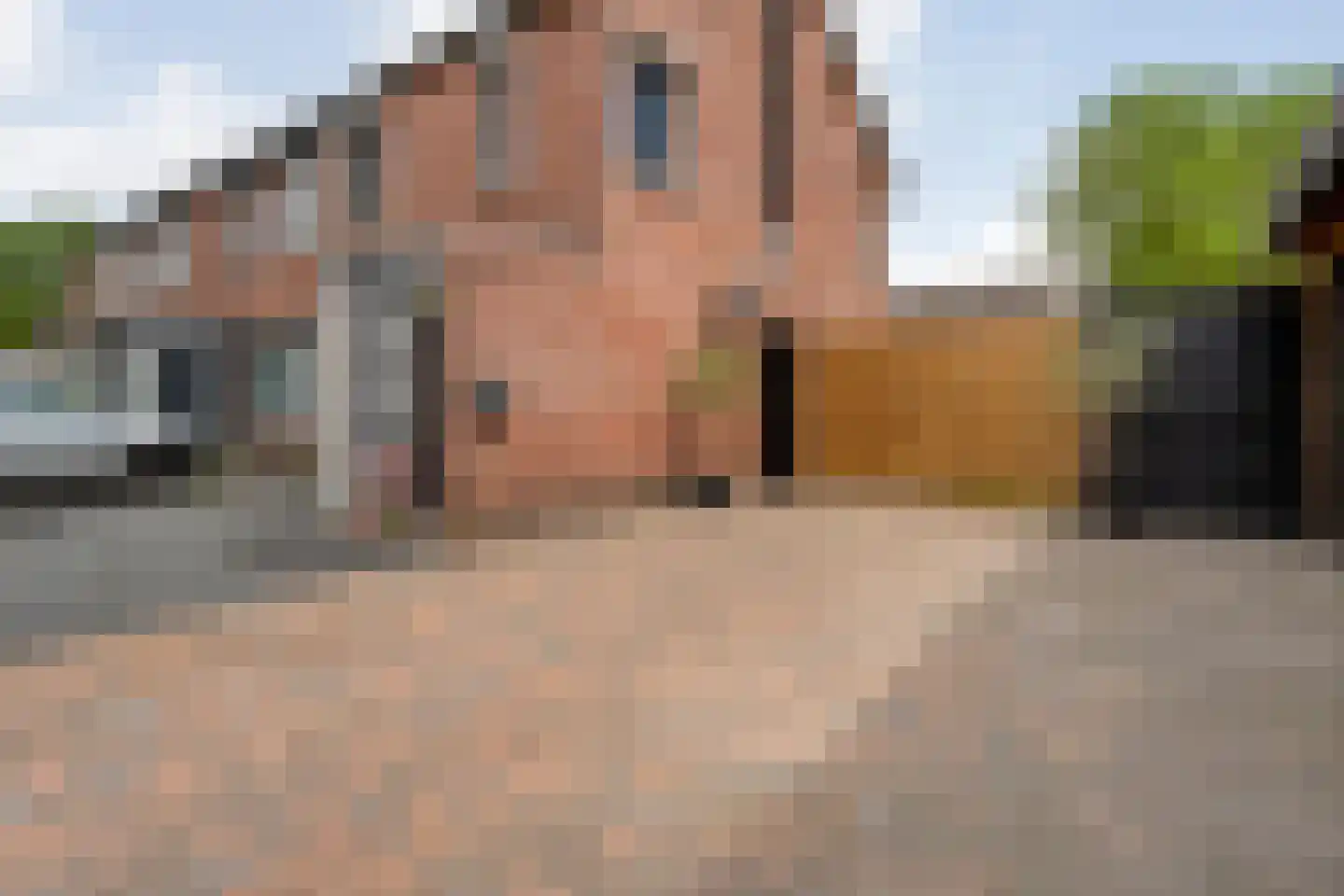 Zonnedauw 15 Nieuwlande thumbnail 41