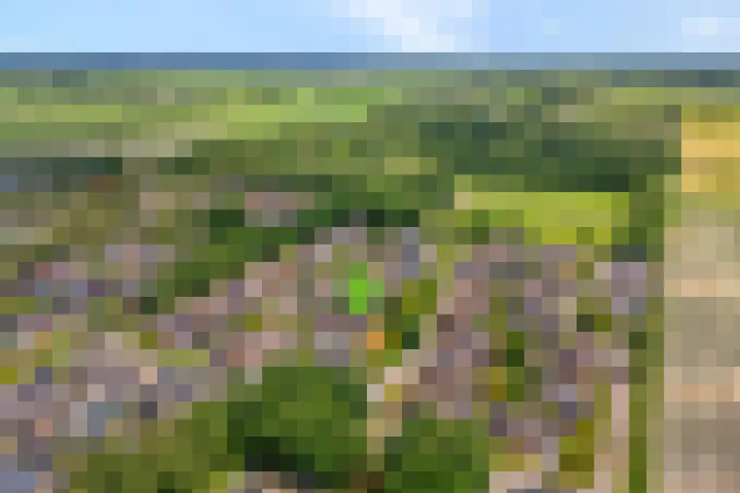 Zonnedauw 15 Nieuwlande thumbnail 44