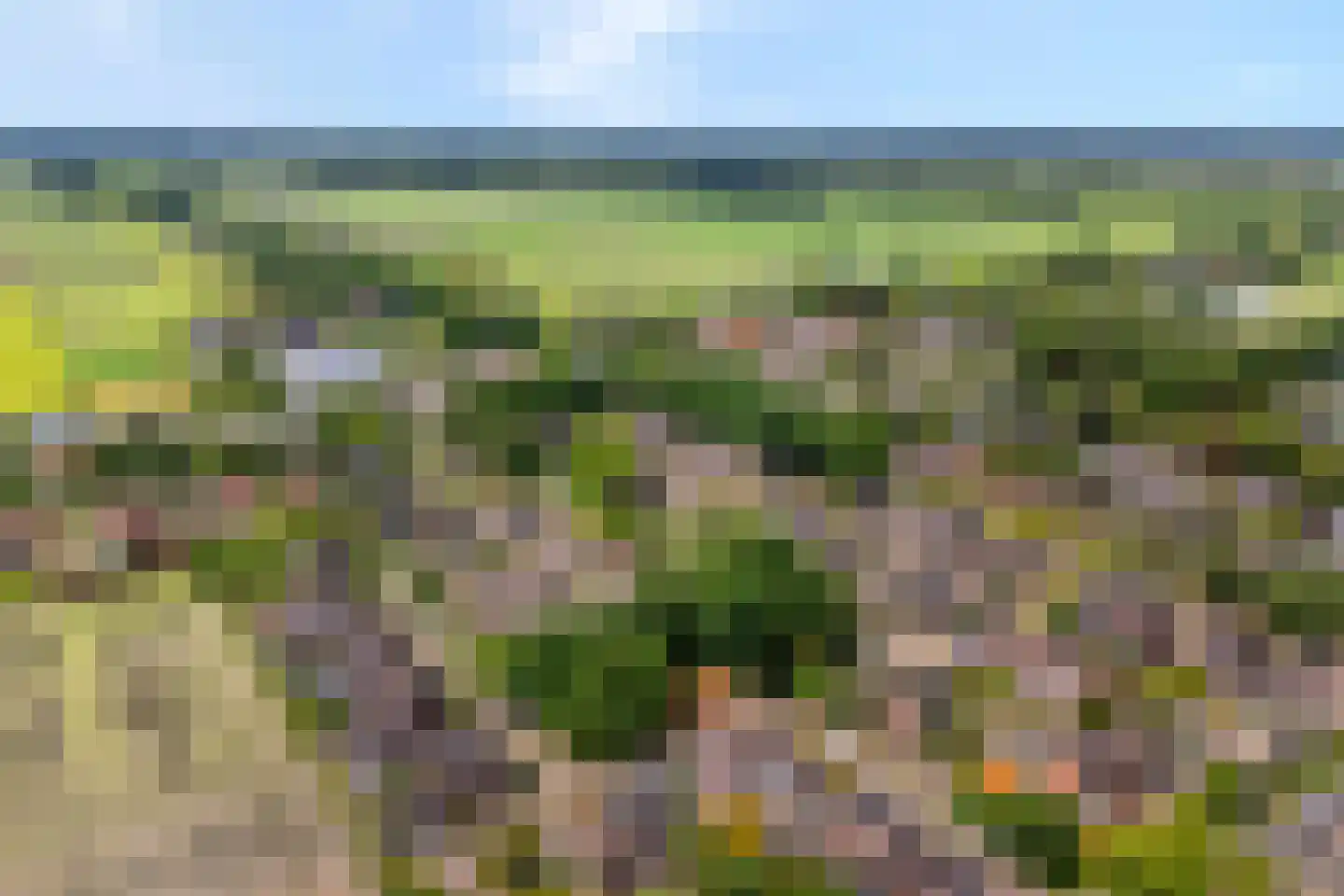 Zonnedauw 15 Nieuwlande thumbnail 45