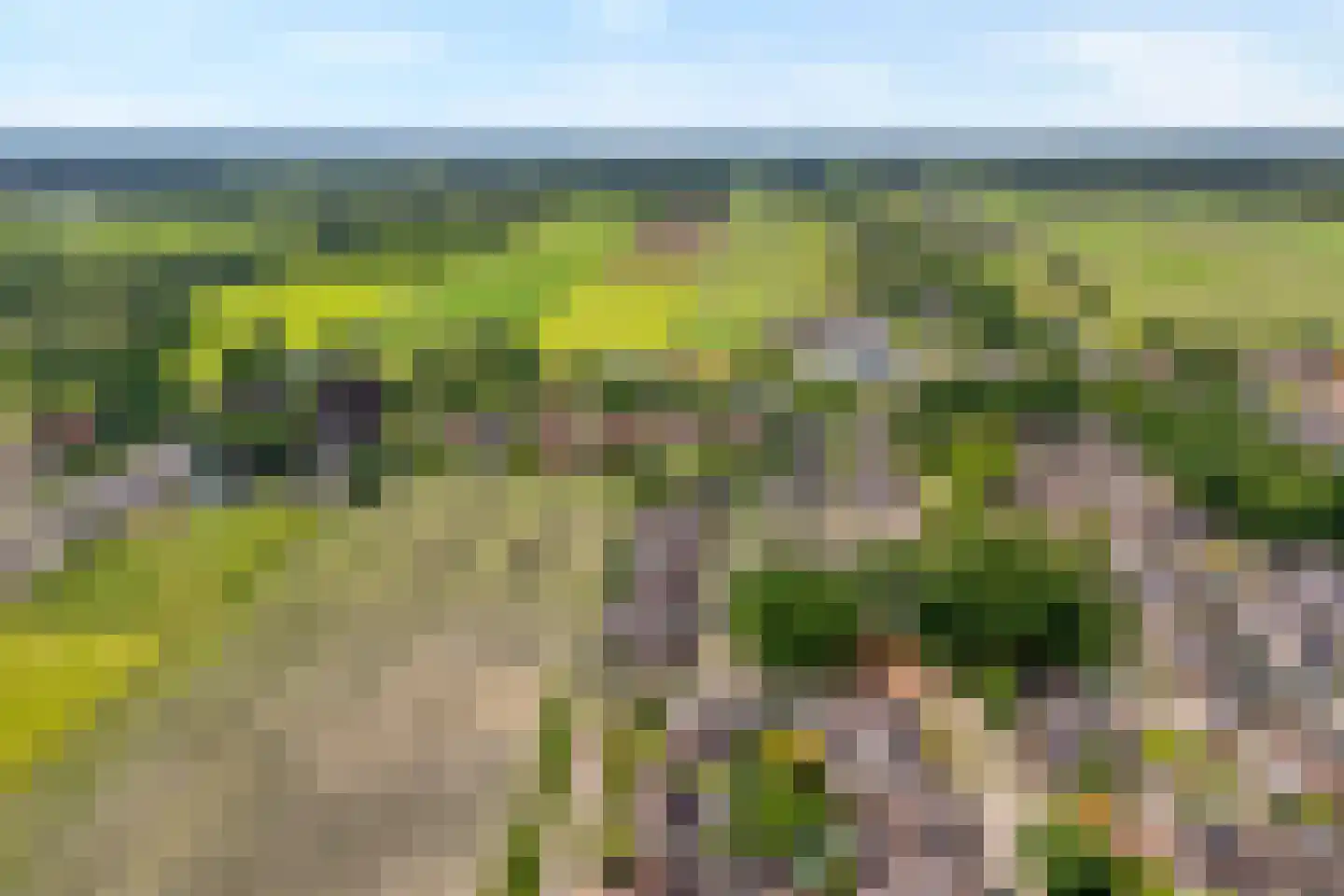 Zonnedauw 15 Nieuwlande thumbnail 46