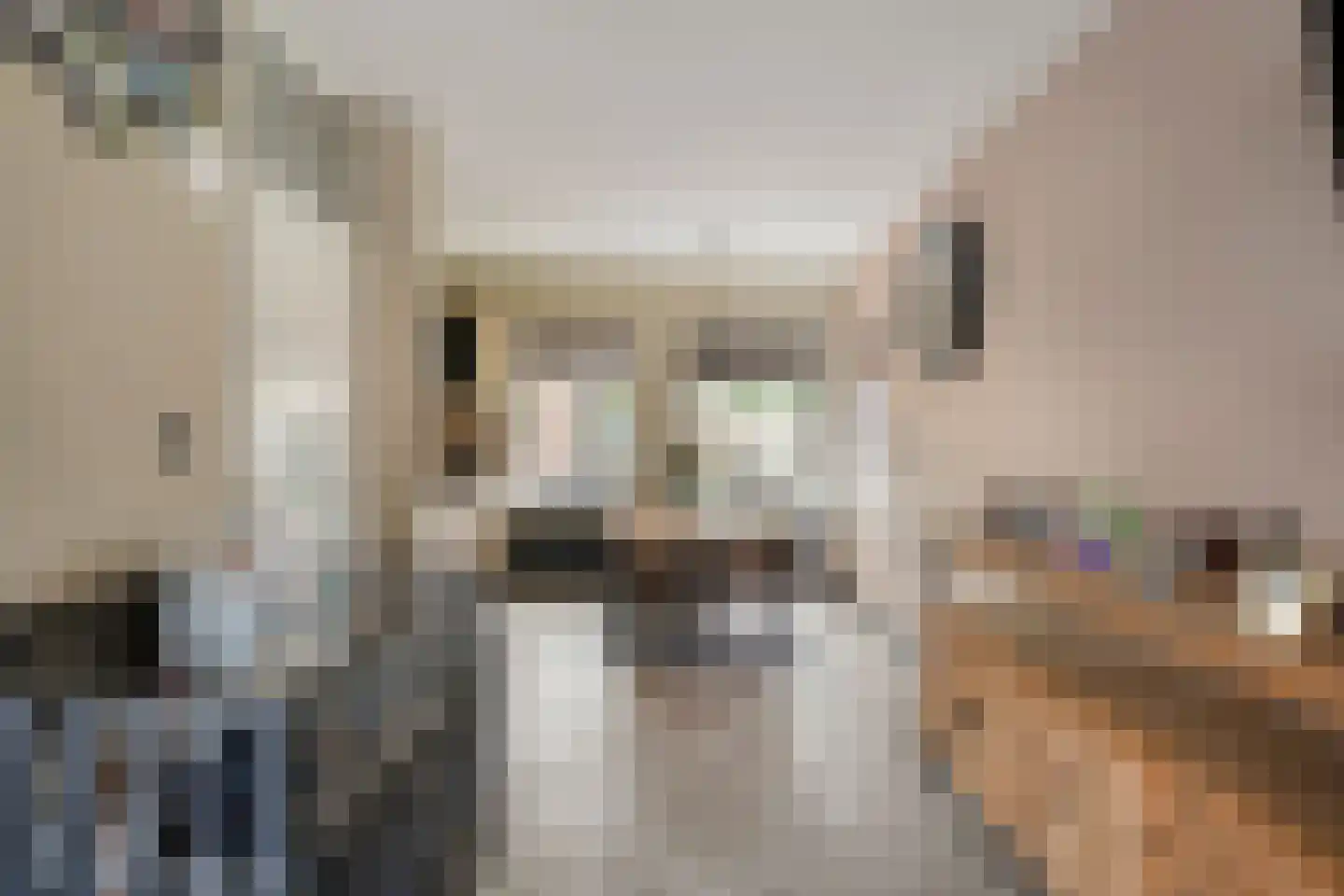 Zonnedauw 15 Nieuwlande thumbnail 8