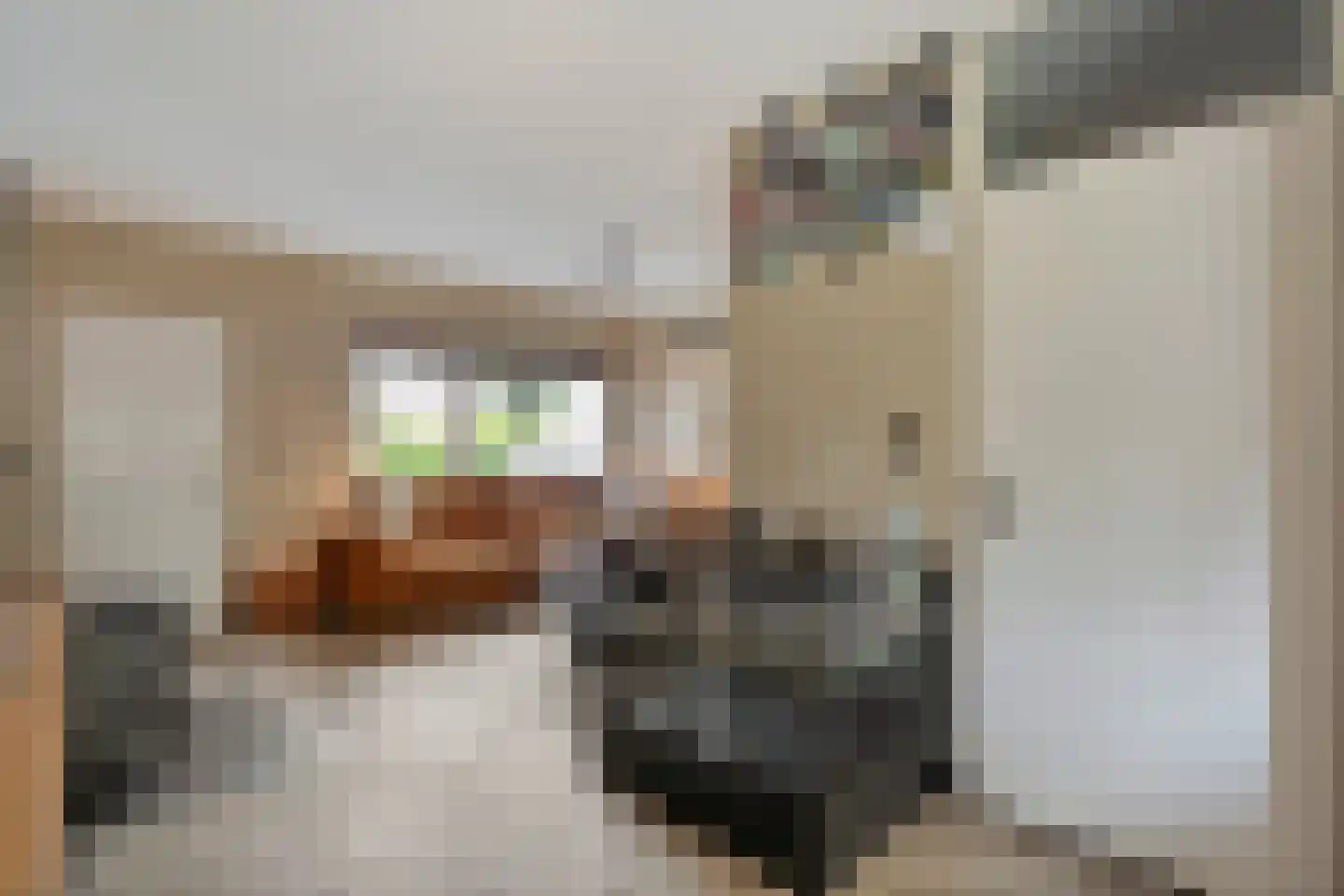 Zonnedauw 15 Nieuwlande thumbnail 9