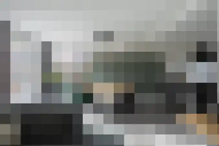 Zonnedauw 15 Stroe thumbnail 10