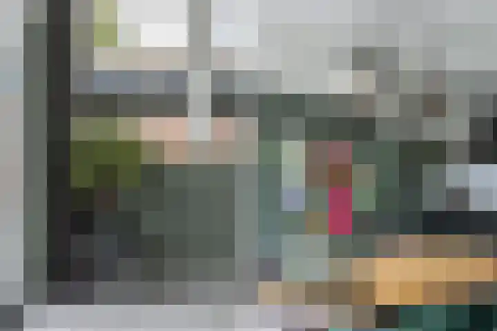 Zonnedauw 15 Stroe thumbnail 12