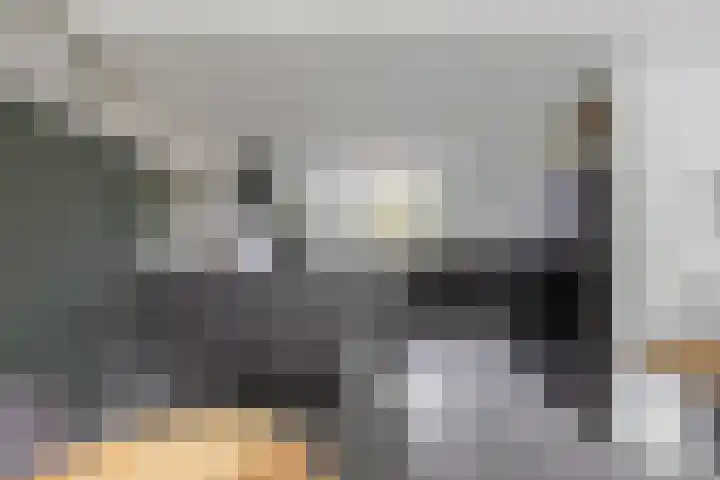 Zonnedauw 15 Stroe thumbnail 13