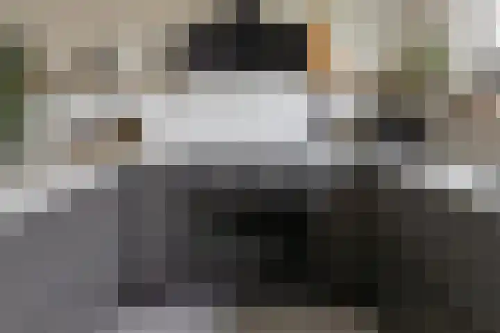 Zonnedauw 15 Stroe thumbnail 16