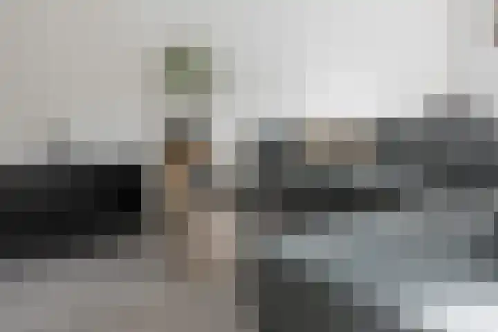 Zonnedauw 15 Stroe thumbnail 17
