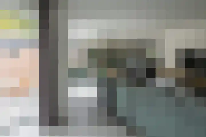 Zonnedauw 15 Stroe thumbnail 20