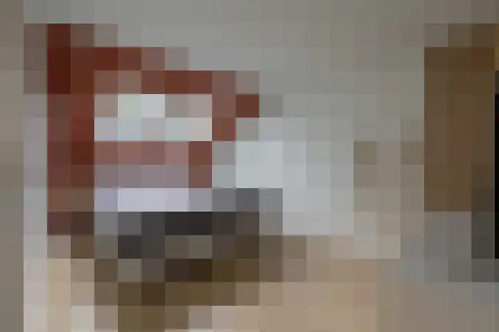 Zonnedauw 15 Stroe thumbnail 24