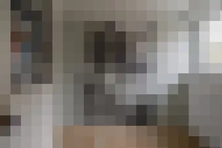 Zonnedauw 15 Stroe thumbnail 28