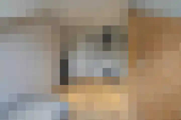 Zonnedauw 15 Stroe thumbnail 33