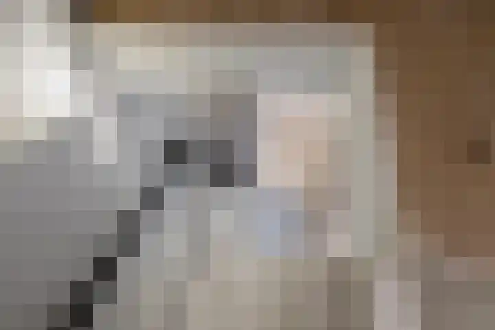 Zonnedauw 15 Stroe thumbnail 38