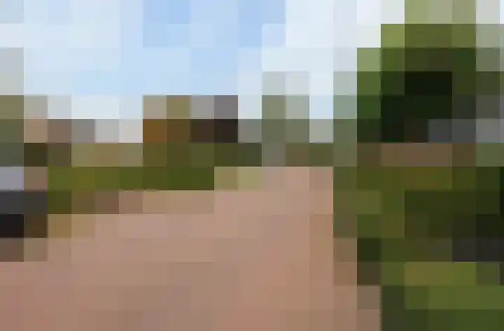 Zonnedauw 15 Stroe thumbnail 42
