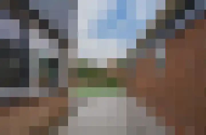 Zonnedauw 15 Stroe thumbnail 43