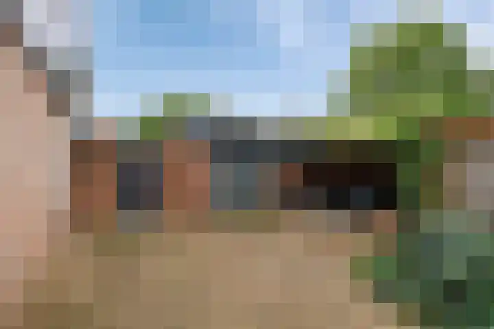 Zonnedauw 15 Stroe thumbnail 44