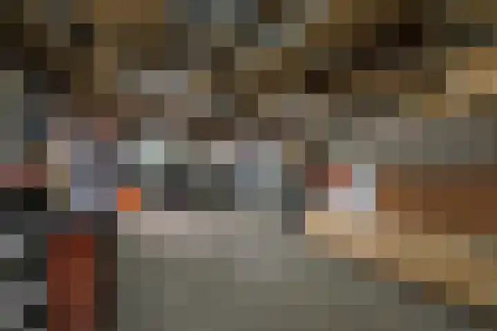 Zonnedauw 15 Stroe thumbnail 46