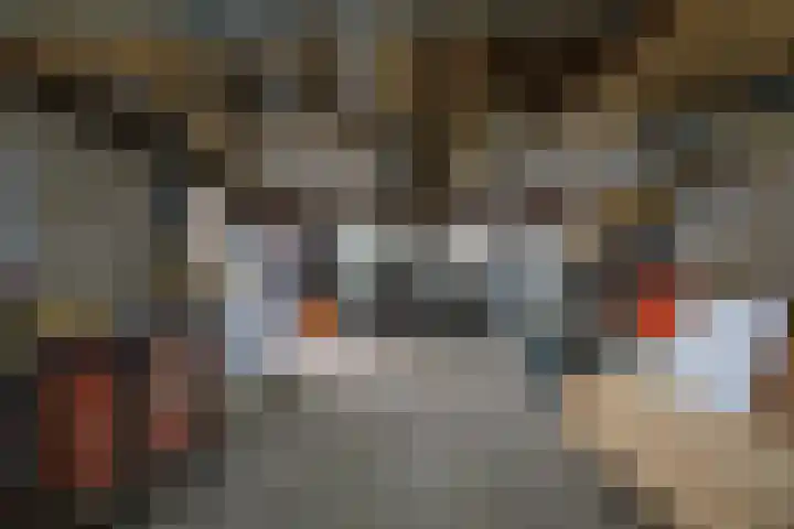 Zonnedauw 15 Stroe thumbnail 47
