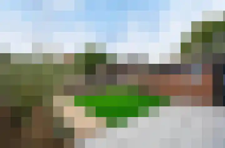 Zonnedauw 15 Stroe thumbnail 48