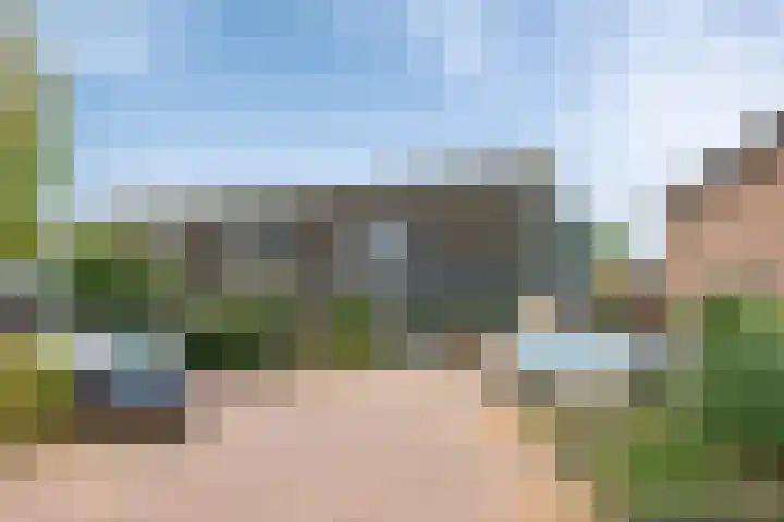 Zonnedauw 15 Stroe thumbnail 5