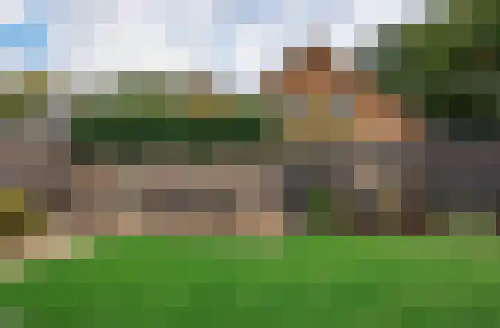 Zonnedauw 15 Stroe thumbnail 50