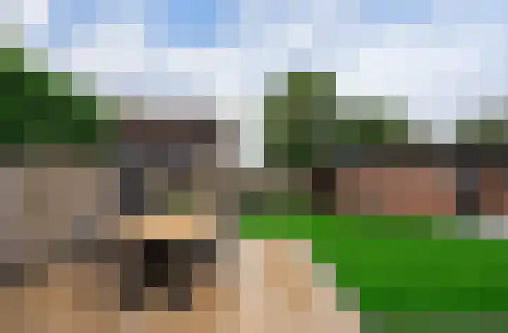 Zonnedauw 15 Stroe thumbnail 51
