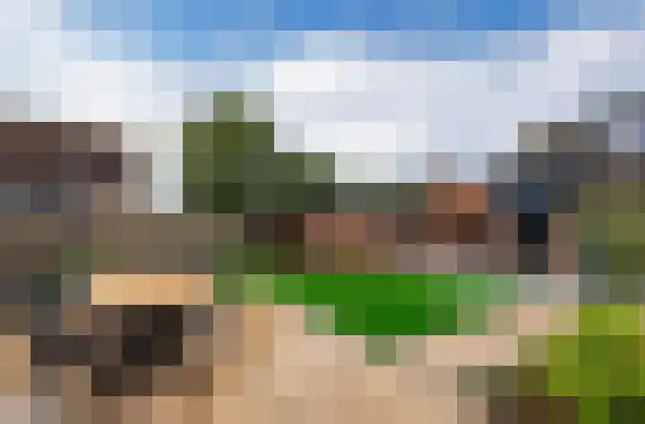 Zonnedauw 15 Stroe thumbnail 52