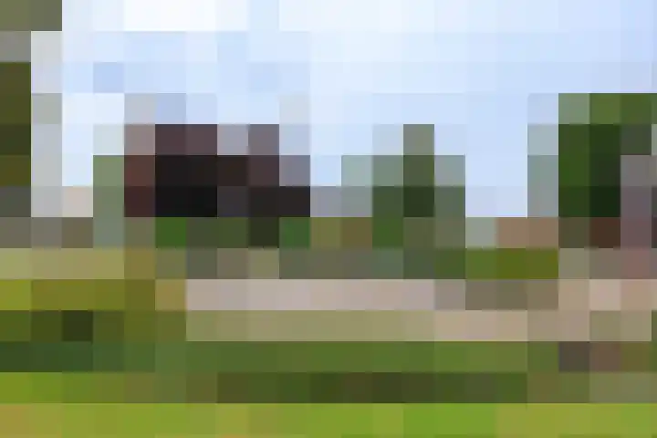 Zonnedauw 15 Stroe thumbnail 59