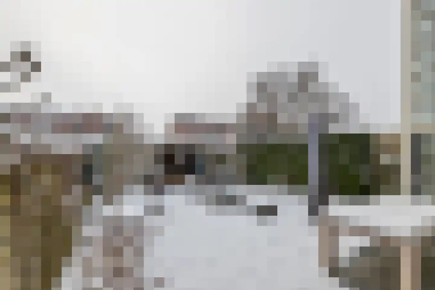 Zonnedauw 154 Tiel thumbnail 19