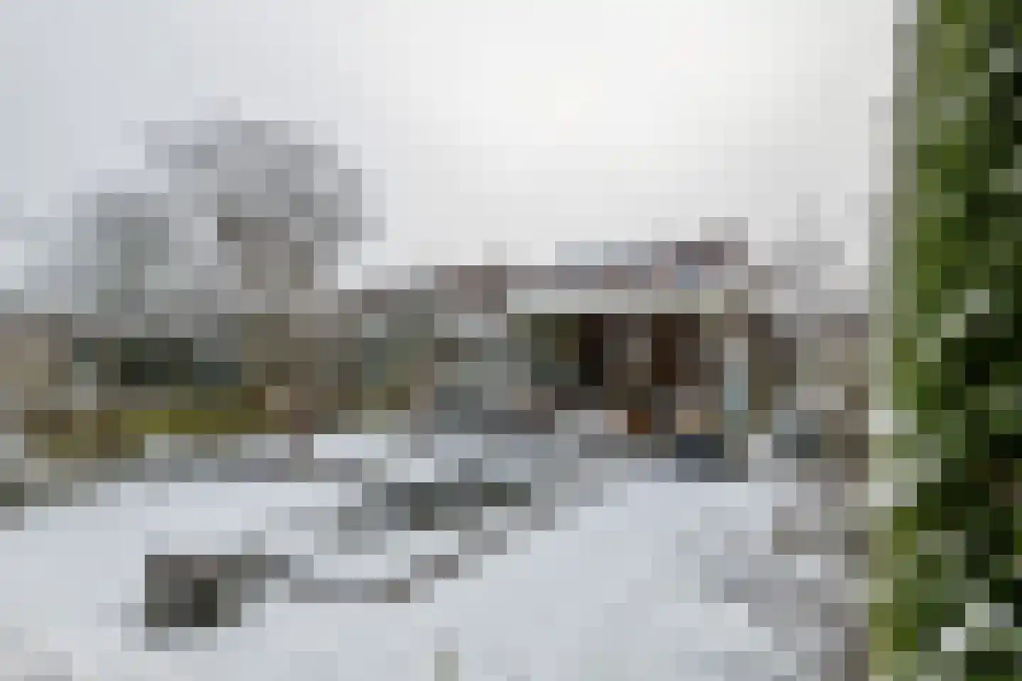 Zonnedauw 154 Tiel thumbnail 20