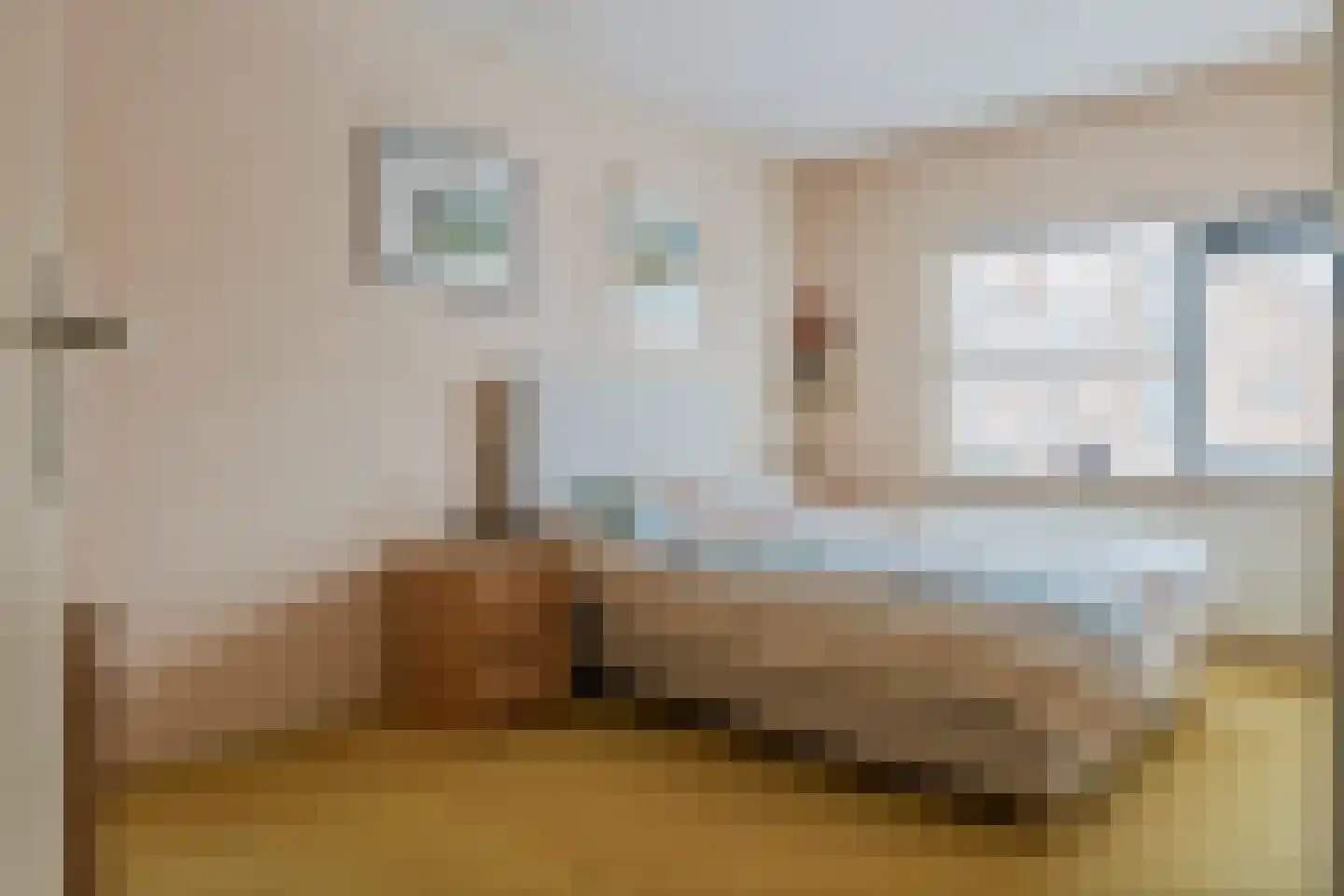 Zonnedauw 154 Tiel thumbnail 31