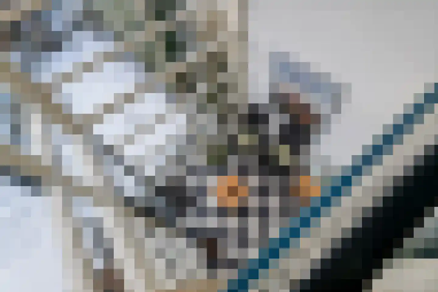 Zonnedauw 154 Tiel thumbnail 37