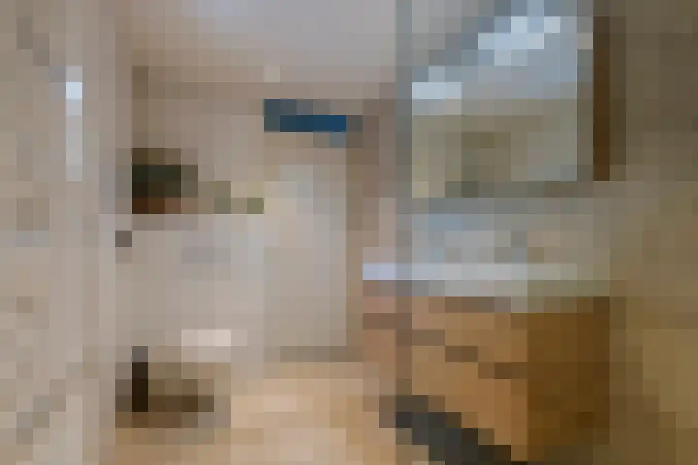 Zonnedauw 154 Tiel thumbnail 39