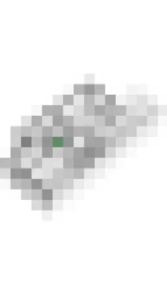 Zonnedauw 154 Tiel thumbnail 55